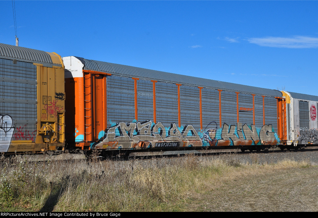 BNSF 303196